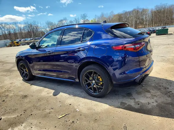 ZASPAKBN8L7C86022 2020 ALFA ROMEO STELVIO - Image 2