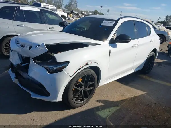 ZASPAKBN8L7C95531 2020 ALFA ROMEO STELVIO - Image 2