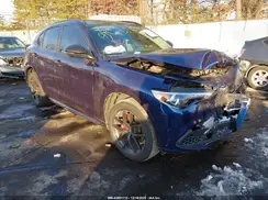 ZASPAKBN8M7D18744 2021 ALFA ROMEO STELVIO