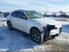 ZASPAKBN8R7D72391 2024 ALFA ROMEO STELVIO