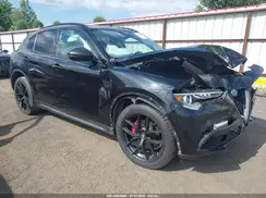ZASPAKBN9K7C70233 2019 ALFA ROMEO STELVIO