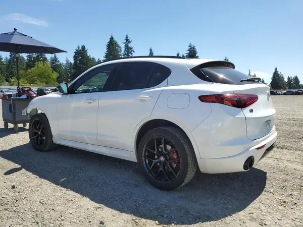 ZASPAKBN9L7C77605 2020 ALFA ROMEO STELVIO - Image 2