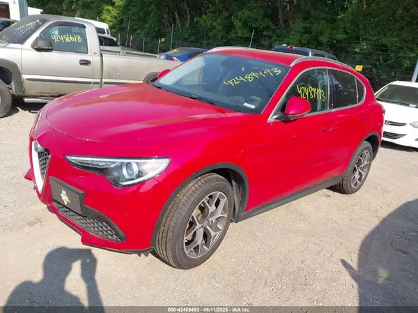 ZASPAKBNXK7C31179 2019 ALFA ROMEO STELVIO - Image 2