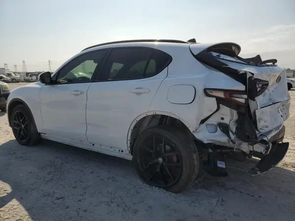 ZASPAKBNXK7C31327 2019 ALFA ROMEO STELVIO - Image 2