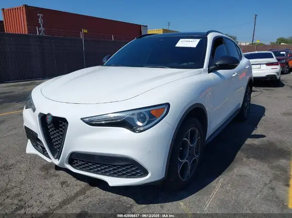 ZASPAKBNXK7C40433 2019 ALFA ROMEO STELVIO - Image 2