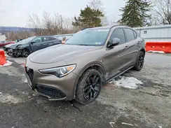 ZASPAKBNXK7C51125 2019 ALFA ROMEO STELVIO