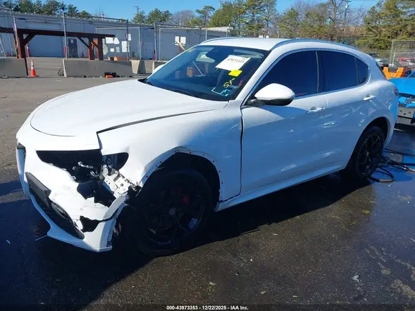 ZASPAKBNXL7C91996 2020 ALFA ROMEO STELVIO - Image 2