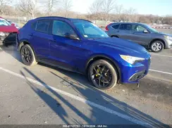 ZASPAKBNXL7C93201 2020 ALFA ROMEO STELVIO