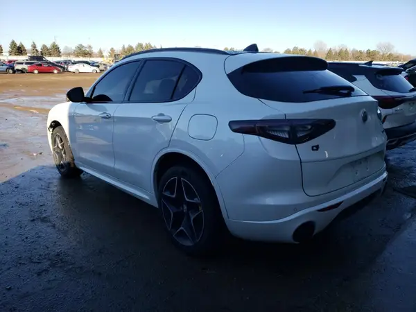 ZASPAKBNXL7C93313 2020 ALFA ROMEO STELVIO - Image 2