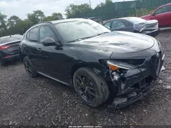 ZASPAKBNXM7D19829 2021 ALFA ROMEO STELVIO