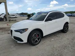 ZASPAKBNXR7D77771 2024 ALFA ROMEO STELVIO