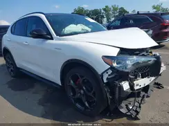 ZASPAKBNXR7D80041 2024 ALFA ROMEO STELVIO