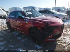 ZASPAKEV7P7D58667 2023 ALFA ROMEO STELVIO