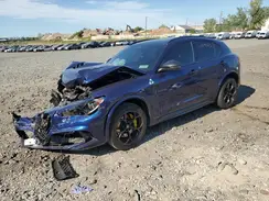 ZASPAKEV8L7C94438 2020 ALFA ROMEO STELVIO