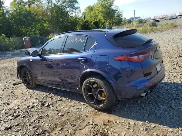 ZASPAKEV8L7C94438 2020 ALFA ROMEO STELVIO - Image 2