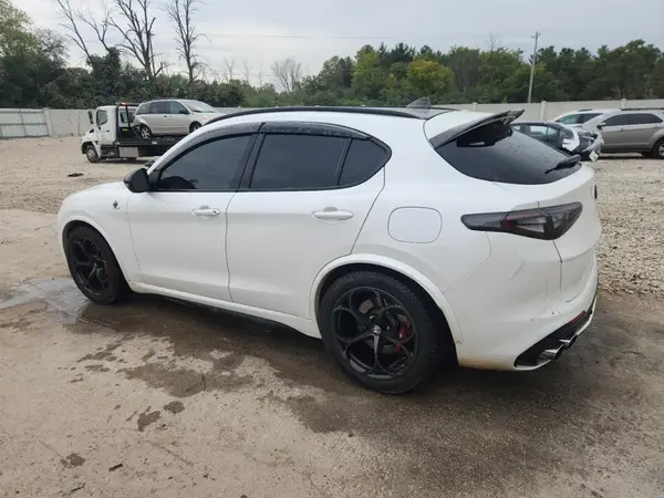 ZASPAKEV8L7C95458 2020 ALFA ROMEO STELVIO - Image 2