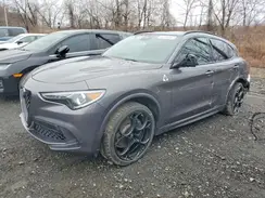 ZASPAKEV8P7D67930 2023 ALFA ROMEO STELVIO
